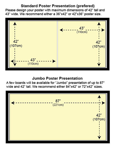 standard poster board dimensions